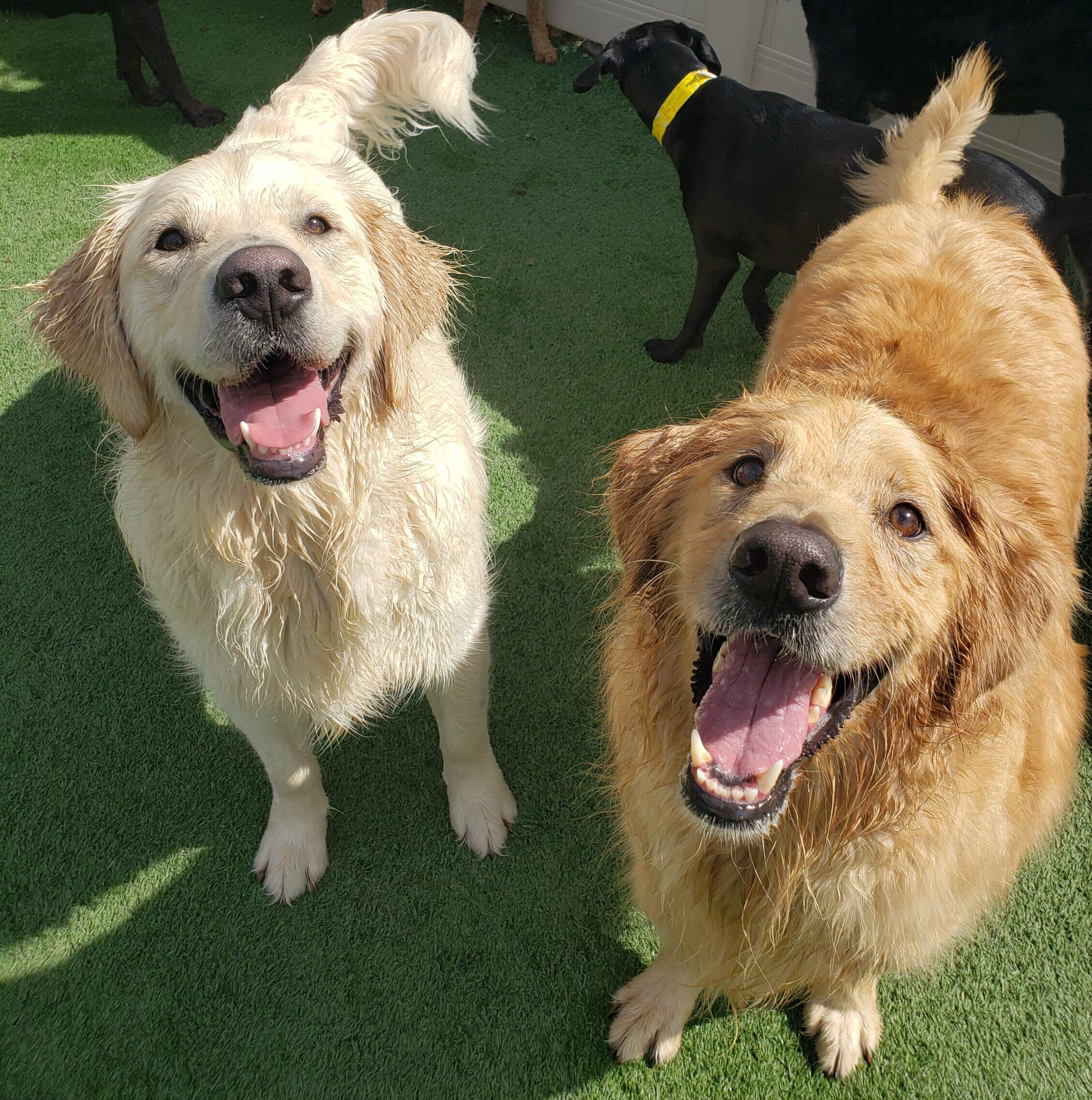 Watson and Palmer